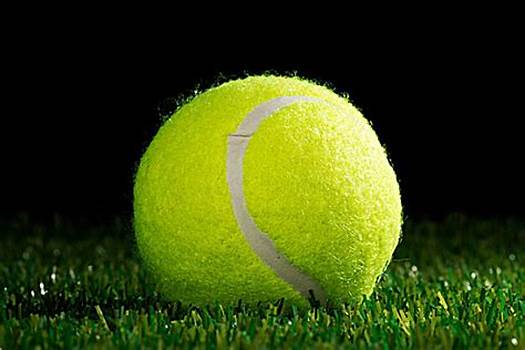 妥善地处理 妥善地处理