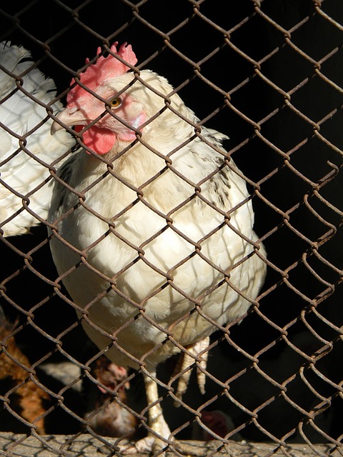 不仅因为他 不仅因为他