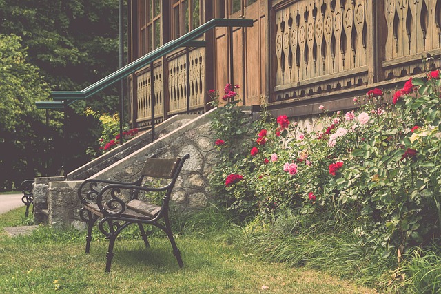 我们将重点 我们将重点