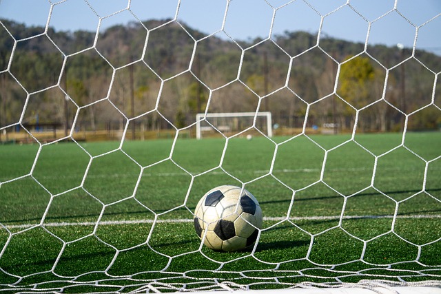 决定不在此 决定不在此