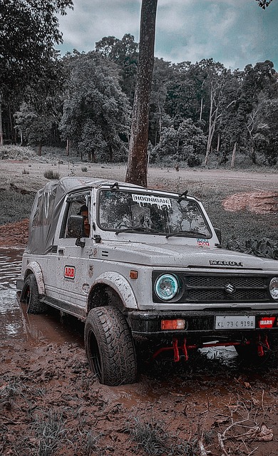 长春曾是中 长春曾是中