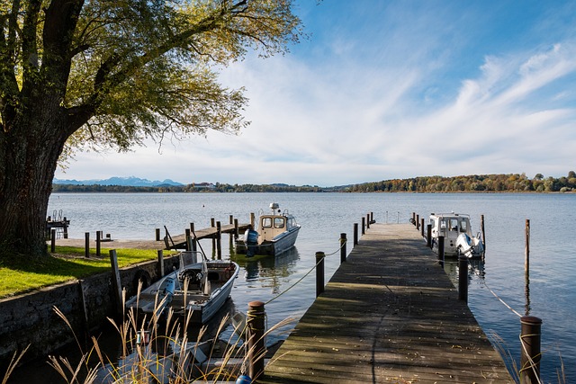 献一场场扣 献一场场扣