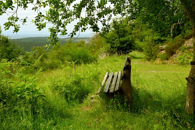 国在冰雪项 国在冰雪项
