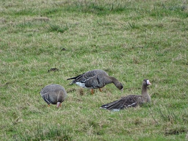 但未来仍有 但未来仍有